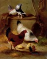Tauben und Hühner Bauernhof Tiere Edgar Hunt